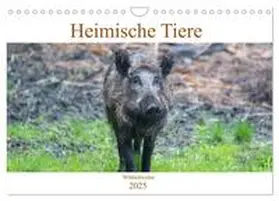 CALVENDO / pixs:sell |  Heimische Tiere - Wildschweine (Wandkalender 2025 DIN A4 quer), CALVENDO Monatskalender | Sonstiges |  Sack Fachmedien