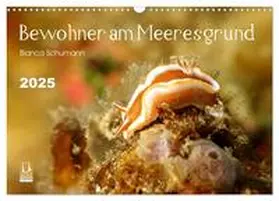 CALVENDO / Schumann |  Bewohner am Meeresgrund (Wandkalender 2025 DIN A3 quer), CALVENDO Monatskalender | Sonstiges |  Sack Fachmedien