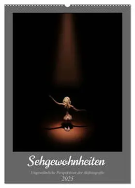 CALVENDO / Lichtgestalt |  Sehgewohnheiten (Wandkalender 2025 DIN A2 hoch), CALVENDO Monatskalender | Sonstiges |  Sack Fachmedien