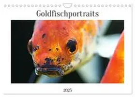 CALVENDO / Wirtz |  Goldfischportraits (Wandkalender 2025 DIN A4 quer), CALVENDO Monatskalender | Sonstiges |  Sack Fachmedien
