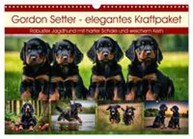 CALVENDO / Kleemann |  Gordon Setter - elegantes Kraftpaket (Wandkalender 2025 DIN A3 quer), CALVENDO Monatskalender | Sonstiges |  Sack Fachmedien