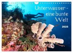 CALVENDO / Schumann |  Unterwasser - eine bunte Welt (Wandkalender 2025 DIN A4 quer), CALVENDO Monatskalender | Sonstiges |  Sack Fachmedien