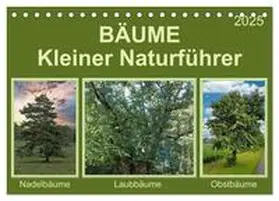 CALVENDO / Kleemann |  Bäume Kleiner Naturführer (Tischkalender 2025 DIN A5 quer), CALVENDO Monatskalender | Sonstiges |  Sack Fachmedien