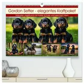 CALVENDO / Kleemann |  Gordon Setter - elegantes Kraftpaket (hochwertiger Premium Wandkalender 2025 DIN A2 quer), Kunstdruck in Hochglanz | Sonstiges |  Sack Fachmedien