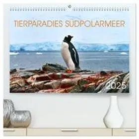 CALVENDO / Bergermann |  Tierparadies Südpolarmeer (hochwertiger Premium Wandkalender 2025 DIN A2 quer), Kunstdruck in Hochglanz | Sonstiges |  Sack Fachmedien
