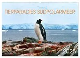 CALVENDO / Bergermann |  Tierparadies Südpolarmeer (Wandkalender 2025 DIN A2 quer), CALVENDO Monatskalender | Sonstiges |  Sack Fachmedien