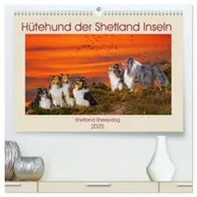 CALVENDO / Starick |  Hütehund der Shetland Inseln - Shetland Sheepdog (hochwertiger Premium Wandkalender 2025 DIN A2 quer), Kunstdruck in Hochglanz | Sonstiges |  Sack Fachmedien