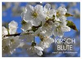 CALVENDO / Löwer |  Kirschblüte rund um Witzenhausen (Wandkalender 2025 DIN A2 quer), CALVENDO Monatskalender | Sonstiges |  Sack Fachmedien