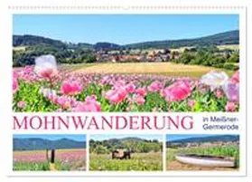 CALVENDO / Löwer |  Mohnwanderung in Meißner-Germerode (Wandkalender 2025 DIN A2 quer), CALVENDO Monatskalender | Sonstiges |  Sack Fachmedien