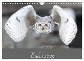 CALVENDO / Trimbach |  Eulen 2025 (Wandkalender 2025 DIN A4 quer), CALVENDO Monatskalender | Sonstiges |  Sack Fachmedien