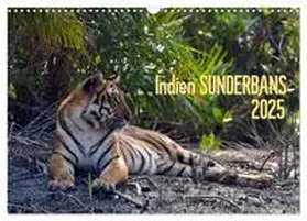 CALVENDO / Bergermann |  Indien Sunderbans (Wandkalender 2025 DIN A3 quer), CALVENDO Monatskalender | Sonstiges |  Sack Fachmedien