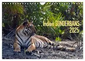 CALVENDO / Bergermann |  Indien Sunderbans (Wandkalender 2025 DIN A4 quer), CALVENDO Monatskalender | Sonstiges |  Sack Fachmedien