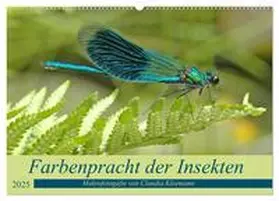 CALVENDO / Kleemann |  Farbenpracht der Insekten (Wandkalender 2025 DIN A2 quer), CALVENDO Monatskalender | Sonstiges |  Sack Fachmedien