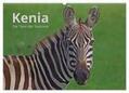 CALVENDO / Mayer |  Kenia - Die Tiere der Savanne (Wandkalender 2025 DIN A2 quer), CALVENDO Monatskalender | Sonstiges |  Sack Fachmedien
