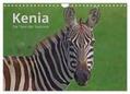 CALVENDO / Mayer |  Kenia - Die Tiere der Savanne (Wandkalender 2025 DIN A4 quer), CALVENDO Monatskalender | Sonstiges |  Sack Fachmedien