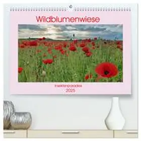 CALVENDO / Kleemann |  Wildblumenwiese Insektenparadies (hochwertiger Premium Wandkalender 2025 DIN A2 quer), Kunstdruck in Hochglanz | Sonstiges |  Sack Fachmedien