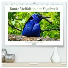 CALVENDO / Kleemann |  Bunte Vielfalt in der Vogelwelt (hochwertiger Premium Wandkalender 2025 DIN A2 quer), Kunstdruck in Hochglanz | Sonstiges |  Sack Fachmedien