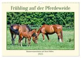 CALVENDO / Kleemann |  Frühling auf der Pferdeweide (Wandkalender 2025 DIN A3 quer), CALVENDO Monatskalender | Sonstiges |  Sack Fachmedien