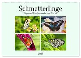CALVENDO / Kleemann |  Schmetterlinge - Filigrane Wunderwerke der Natur (Wandkalender 2025 DIN A2 quer), CALVENDO Monatskalender | Sonstiges |  Sack Fachmedien