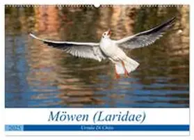 CALVENDO / Di Chito |  Möwen (Laridae) (Wandkalender 2025 DIN A2 quer), CALVENDO Monatskalender | Sonstiges |  Sack Fachmedien