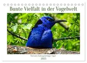CALVENDO / Kleemann |  Bunte Vielfalt in der Vogelwelt (Tischkalender 2025 DIN A5 quer), CALVENDO Monatskalender | Sonstiges |  Sack Fachmedien