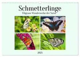 CALVENDO / Kleemann |  Schmetterlinge - Filigrane Wunderwerke der Natur (Wandkalender 2025 DIN A3 quer), CALVENDO Monatskalender | Sonstiges |  Sack Fachmedien