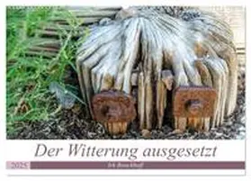 CALVENDO / Boockhoff |  Der Witterung ausgesetzt (Wandkalender 2025 DIN A2 quer), CALVENDO Monatskalender | Sonstiges |  Sack Fachmedien