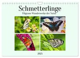 CALVENDO / Kleemann |  Schmetterlinge - Filigrane Wunderwerke der Natur (Wandkalender 2025 DIN A4 quer), CALVENDO Monatskalender | Sonstiges |  Sack Fachmedien