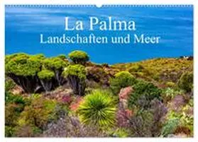 CALVENDO / Müller |  La Palma - Landschaften und Meer (Wandkalender 2025 DIN A2 quer), CALVENDO Monatskalender | Sonstiges |  Sack Fachmedien