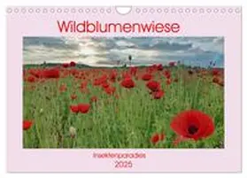 CALVENDO / Kleemann |  Wildblumenwiese Insektenparadies (Wandkalender 2025 DIN A4 quer), CALVENDO Monatskalender | Sonstiges |  Sack Fachmedien