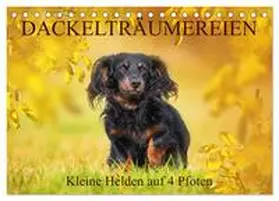 CALVENDO / Starick |  Dackelträumereien - Kleine Helden auf 4 Pfoten (Tischkalender 2025 DIN A5 quer), CALVENDO Monatskalender | Sonstiges |  Sack Fachmedien