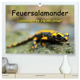 CALVENDO / Vahldiek | Feuersalamander - Liebenswerte Heimlichtuer (hochwertiger Premium Wandkalender 2025 DIN A2 quer), Kunstdruck in Hochglanz | Sonstiges | 978-3-435-16937-5 | www.sack.de