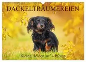 CALVENDO / Starick |  Dackelträumereien - Kleine Helden auf 4 Pfoten (Wandkalender 2025 DIN A3 quer), CALVENDO Monatskalender | Sonstiges |  Sack Fachmedien