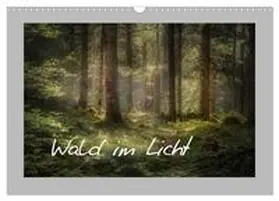 CALVENDO / Wunderlich |  Wald im Licht (Wandkalender 2025 DIN A3 quer), CALVENDO Monatskalender | Sonstiges |  Sack Fachmedien