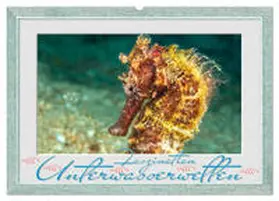 CALVENDO / Gödecke | Faszination Unterwasserwelten (Wandkalender 2025 DIN A2 quer), CALVENDO Monatskalender | Sonstiges | 978-3-435-17679-3 | www.sack.de