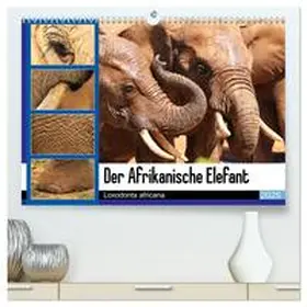 CALVENDO / Fraatz |  Der Afrikanische Elefant - Loxodonta africana (hochwertiger Premium Wandkalender 2025 DIN A2 quer), Kunstdruck in Hochglanz | Sonstiges |  Sack Fachmedien