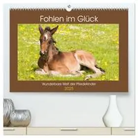 CALVENDO / Bölts |  Fohlen im Glück - Wunderbare Welt der Pferdekinder (hochwertiger Premium Wandkalender 2025 DIN A2 quer), Kunstdruck in Hochglanz | Sonstiges |  Sack Fachmedien