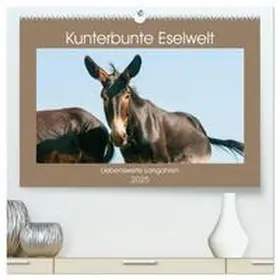 CALVENDO / Bölts |  Kunterbunte Eselwelt - Liebenswerte Langohren (hochwertiger Premium Wandkalender 2025 DIN A2 quer), Kunstdruck in Hochglanz | Sonstiges |  Sack Fachmedien