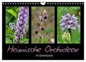 CALVENDO / Löwer |  Heimische Orchideen im Dreierpack (Wandkalender 2025 DIN A4 quer), CALVENDO Monatskalender | Sonstiges |  Sack Fachmedien