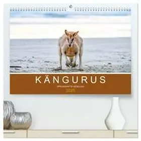 CALVENDO / STYPPA |  Kängurus, sprunghafte Gesellen (hochwertiger Premium Wandkalender 2025 DIN A2 quer), Kunstdruck in Hochglanz | Sonstiges |  Sack Fachmedien