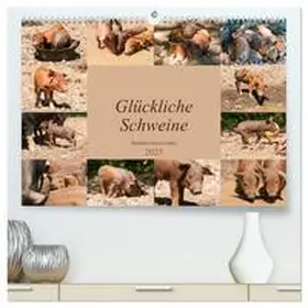 CALVENDO / Bölts |  Glückliche Schweine Berkshire-Iberico Ferkel (hochwertiger Premium Wandkalender 2025 DIN A2 quer), Kunstdruck in Hochglanz | Sonstiges |  Sack Fachmedien