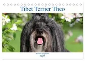 CALVENDO / Heepmann |  Tibet Terrier Theo (Tischkalender 2025 DIN A5 quer), CALVENDO Monatskalender | Sonstiges |  Sack Fachmedien