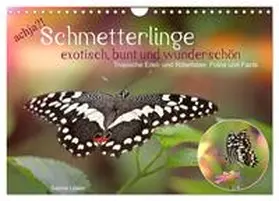 CALVENDO / Löwer |  achja?! Schmetterlinge, exotisch, bunt und wunderschön (Wandkalender 2025 DIN A4 quer), CALVENDO Monatskalender | Sonstiges |  Sack Fachmedien