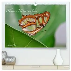 CALVENDO / Ott |  Kleine Natur im Fokus (hochwertiger Premium Wandkalender 2025 DIN A2 quer), Kunstdruck in Hochglanz | Sonstiges |  Sack Fachmedien