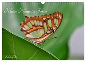 CALVENDO / Ott |  Kleine Natur im Fokus (Wandkalender 2025 DIN A3 quer), CALVENDO Monatskalender | Sonstiges |  Sack Fachmedien