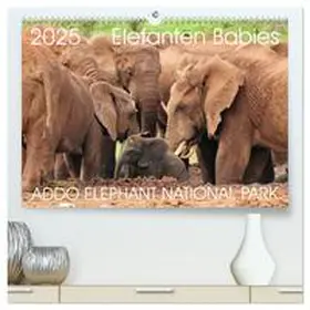 CALVENDO / Fraatz |  ADDO ELEPHANT NATIONAL PARK Elefanten Babies (hochwertiger Premium Wandkalender 2025 DIN A2 quer), Kunstdruck in Hochglanz | Sonstiges |  Sack Fachmedien