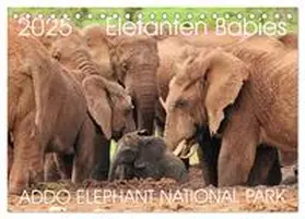 CALVENDO / Fraatz |  ADDO ELEPHANT NATIONAL PARK Elefanten Babies (Tischkalender 2025 DIN A5 quer), CALVENDO Monatskalender | Sonstiges |  Sack Fachmedien