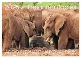 CALVENDO / Fraatz |  ADDO ELEPHANT NATIONAL PARK Elefanten Babies (Wandkalender 2025 DIN A2 quer), CALVENDO Monatskalender | Sonstiges |  Sack Fachmedien