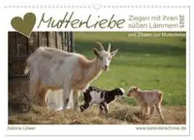 CALVENDO / Löwer |  Mutterliebe - Ziegen mit ihren süßen Lämmern (Wandkalender 2025 DIN A3 quer), CALVENDO Monatskalender | Sonstiges |  Sack Fachmedien