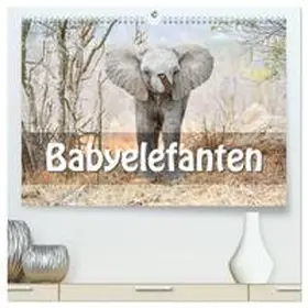 CALVENDO / STYPPA |  Babyelefanten (hochwertiger Premium Wandkalender 2025 DIN A2 quer), Kunstdruck in Hochglanz | Sonstiges |  Sack Fachmedien